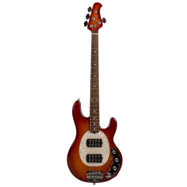 Bas Gitar Modelleri